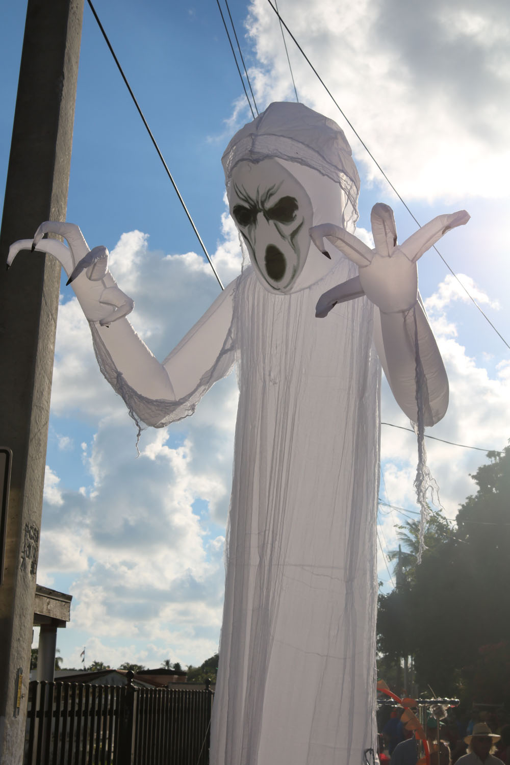 Masquerade March 2018 photo - Duval Street, Key West